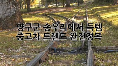 양구군 송우리에서 득템?! 🚗 중고차 트렌드 완전정복!